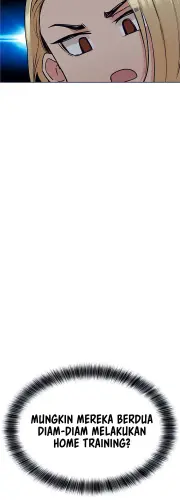 26.webp