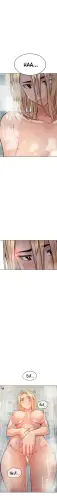 12.webp