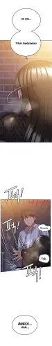 24.webp