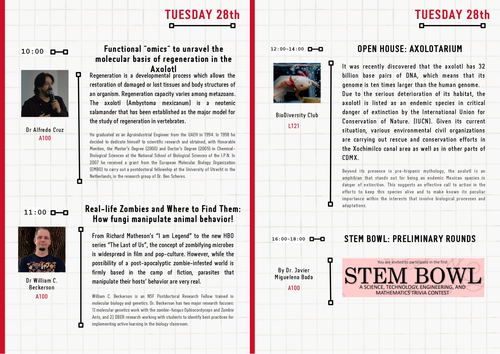 STEM Week Tuesday.png