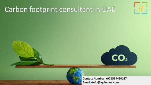 Carbon footprint consultant .9.jpg