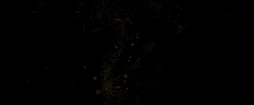 New Year FL 2020.gif