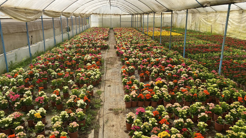 WhatsApp Image 2023 03 02 at 11.52.01.jpg