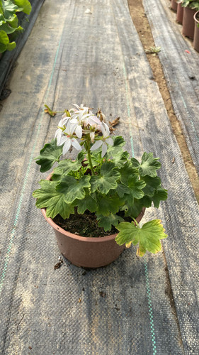 WhatsApp Image 2023 03 02 at 11.54.39.jpg