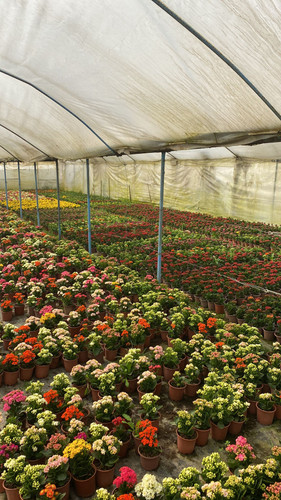 WhatsApp Image 2023 03 02 at 11.52.01 (1).jpg