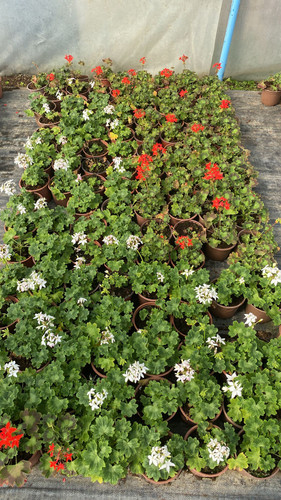 WhatsApp Image 2023 03 02 at 11.54.38.jpg