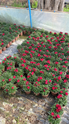 WhatsApp Image 2023 03 02 at 11.56.31.jpg