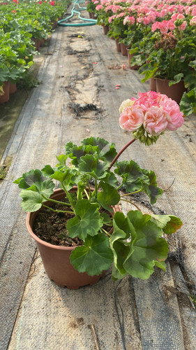 WhatsApp Image 2023 03 02 at 11.53.59 (1).jpg