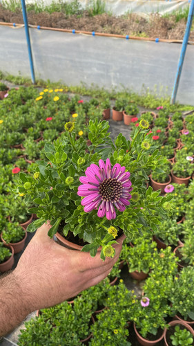 WhatsApp Image 2023 03 02 at 12.00.25 (1).jpg