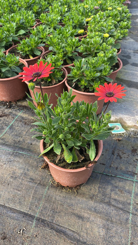 WhatsApp Image 2023 03 02 at 11.59.24 (1).jpg