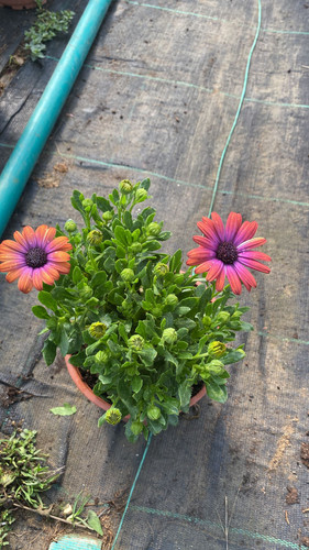 WhatsApp Image 2023 03 02 at 12.00.58 (1).jpg