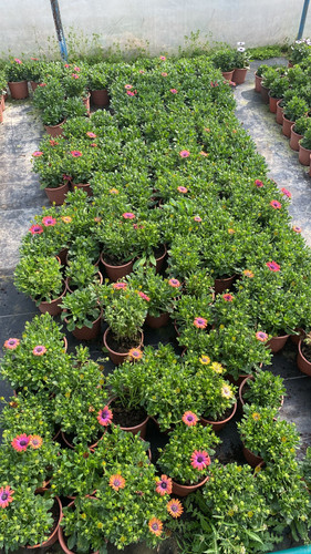 WhatsApp Image 2023 03 02 at 12.00.58 (2).jpg