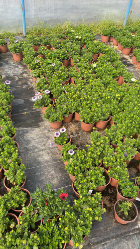 WhatsApp Image 2023 03 02 at 11.59.24.jpg