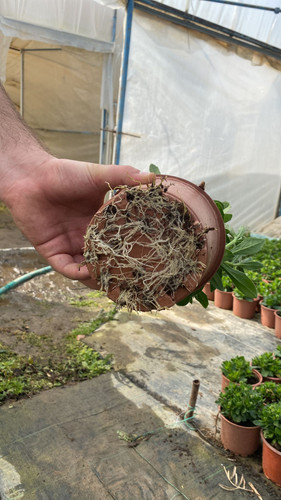 WhatsApp Image 2023 03 02 at 11.59.24 (2).jpg