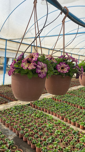 WhatsApp Image 2023 03 02 at 12.02.53.jpg