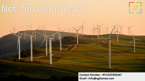 Net Zero . 5.jpg