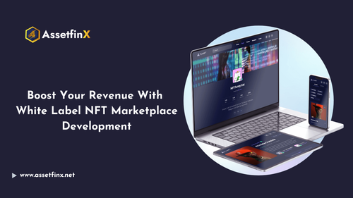  Boost Your Revenue With White Label NFT Marketplace Development.png