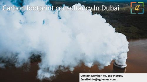 Carbon footprint consultancy In Dubai.jpg