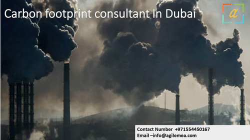 Carbon footprint consultant In Dubai.jpg