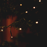 4pRP.gif