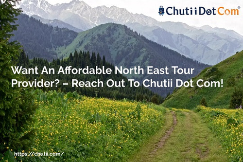 Want An Affordable North East Tour Provider? – Reach Out To Chutii Dot Com!.jpg