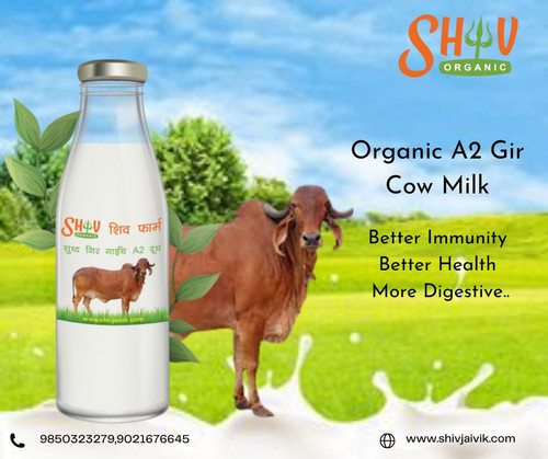 A2 Gir Cow Milk (3).jpg