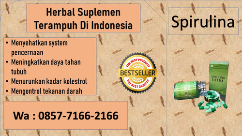 spirulina (8).jpg