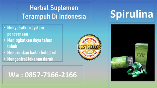 spirulina (9).jpg