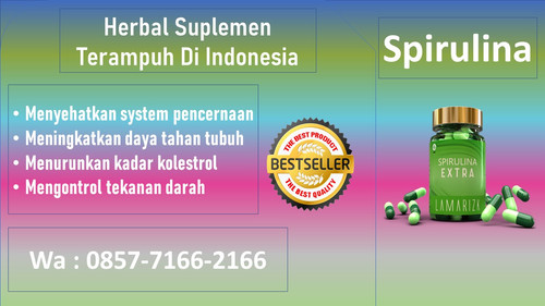 spirulina (10).jpg