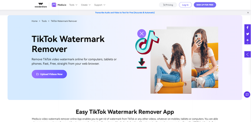 tiktok watermark remover.png