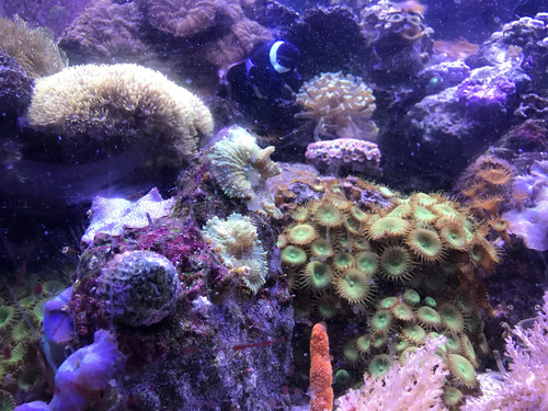 44D094E4 0F78 4B18 82AD C2DA92A31F9B.jpg