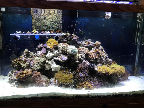 0F25FBA2 C53C 44B1 94EB 8ECD389B7E34.jpg