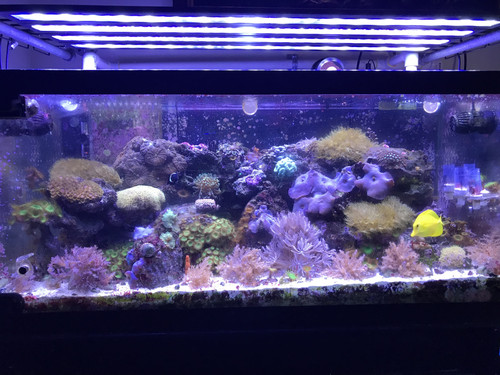 B5014E77 CC4A 4629 B501 7BCEED34ACC7.jpg