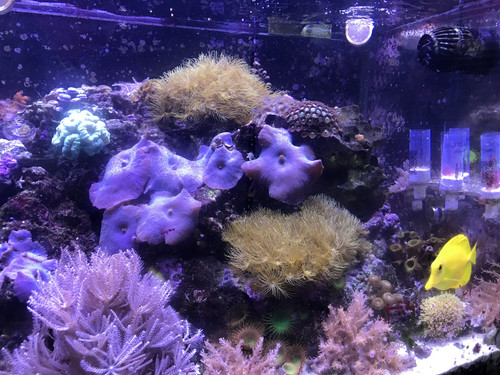 C4BE90C6 2503 4E40 8CEA E68AD69DE005.jpg