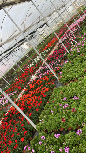 WhatsApp Image 2023 03 02 at 11.36.49.jpg