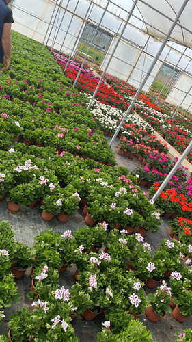 WhatsApp Image 2023 03 02 at 11.36.48 (1).jpg