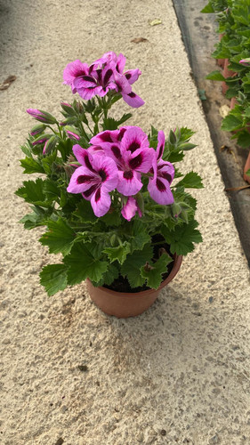 WhatsApp Image 2023 03 02 at 11.36.48.jpg