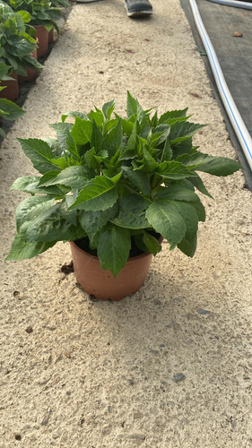 WhatsApp Image 2023 03 02 at 11.35.41.jpg