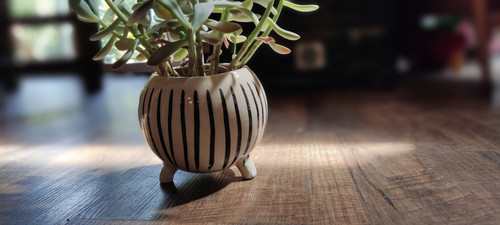 IMG 20230301 120825.jpg