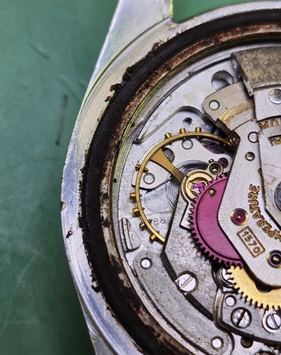 E14A23F6 6FA3 42F3 B38E 17BB6C45E1B2.jpg