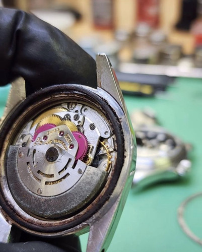 B40AA384 462B 47FE A98E E716088E853A.jpg