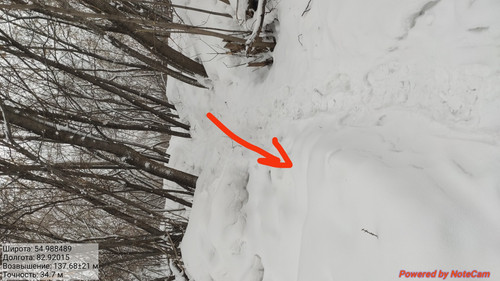 IMG 20230301 152527.jpg