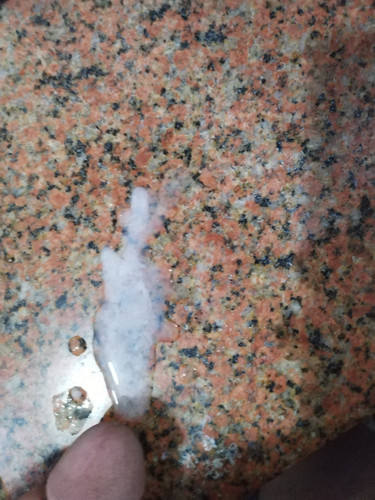 IMG 20230301 032757.jpg