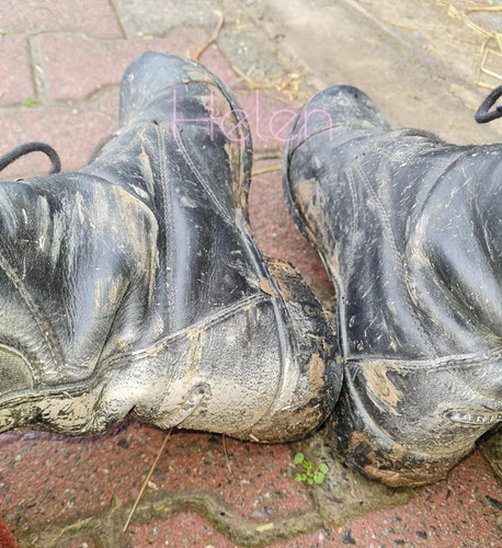 B0038643 0874 4735 B20A AA43F77DEE48