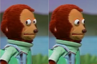 monkey.jpg