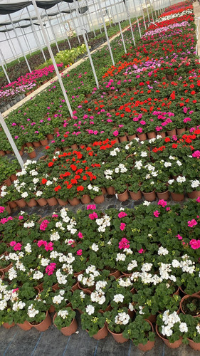 WhatsApp Image 2023 03 02 at 11.37.45.jpg