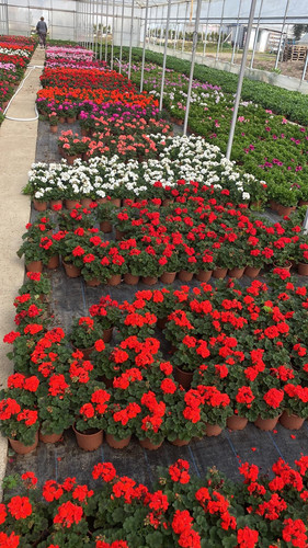 WhatsApp Image 2023 03 02 at 11.37.43.jpg