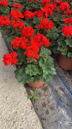 WhatsApp Image 2023 03 02 at 11.37.27.jpg