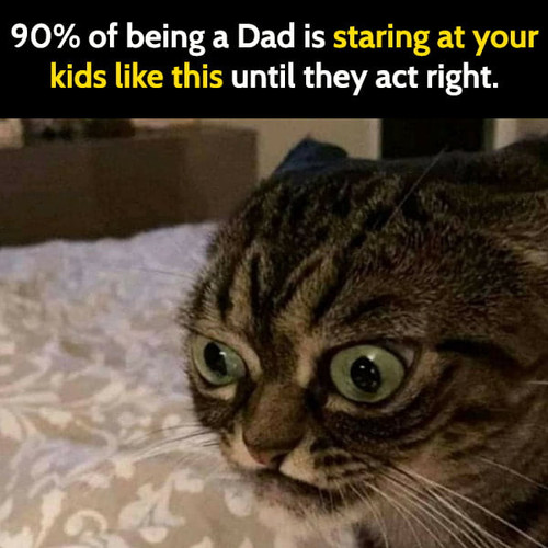 3 Funny meme april.jpg