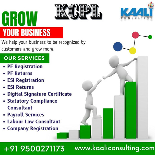 Kaaliconsulting Grow your business.jpg